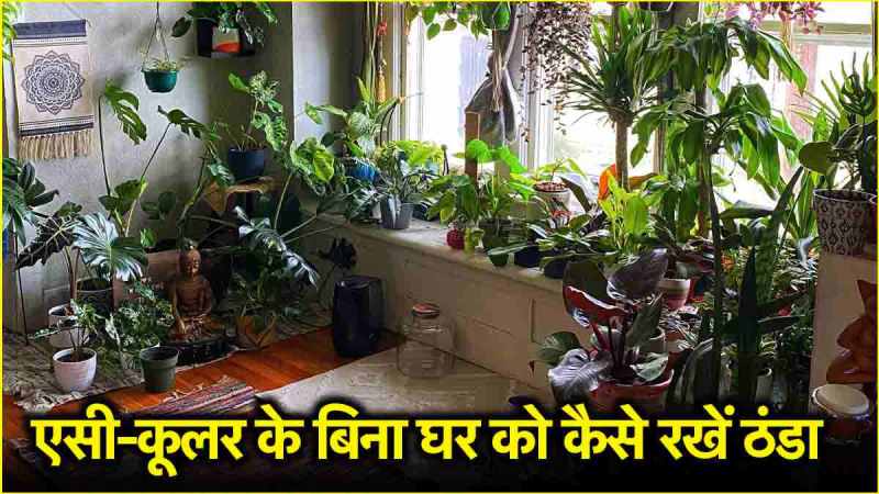 How to cool home without AC
