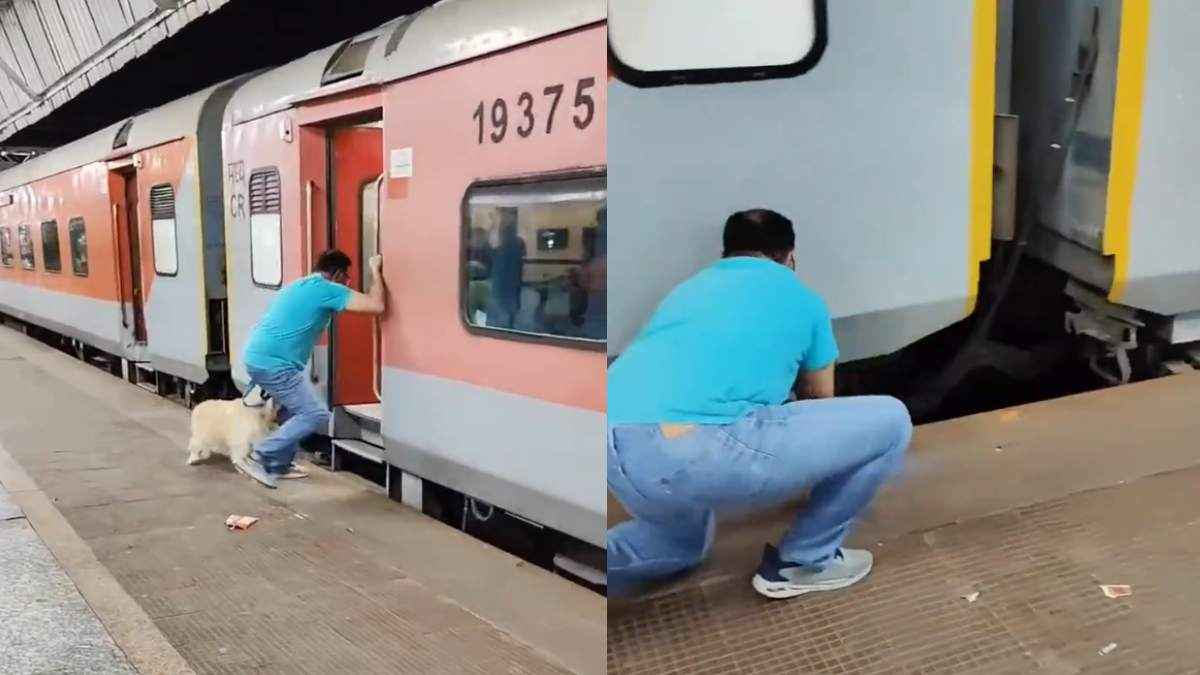 ट्रेन के नीचे गिरा कुत्ता, क्या बच पाई जान, कहां हुआ हादसा?