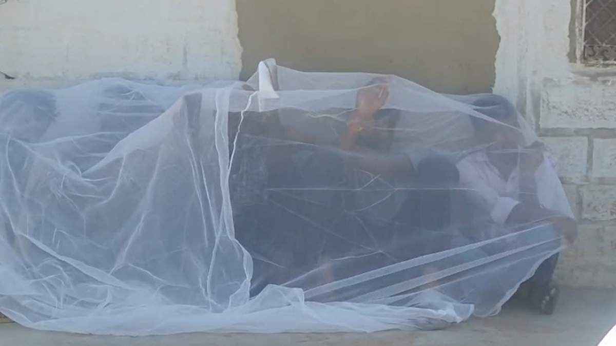 मधुमक्खियां आईं तो अर्थी छोड़ भागे लोग; जोधपुर से सामने आया वीडियो