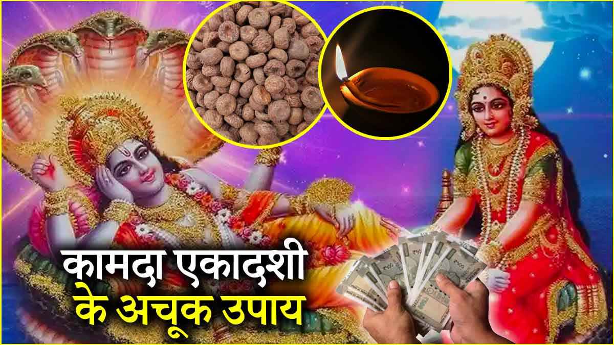 Kamada Ekadashi 2025: कामदा एकादशी की रात करें ये 3 उपाय, श्री हरि विष्णु बरसाएंगे धन ही धन!