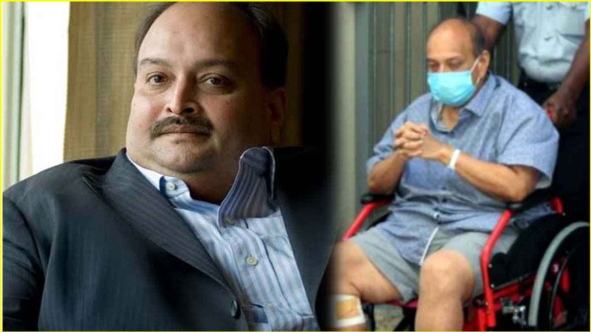भारत आएगा मेहुल चोकसी! PM मोदी के इस फैसले ने खोला रास्ता? जानें क्या है भारत-बेल्जियम की संधि?