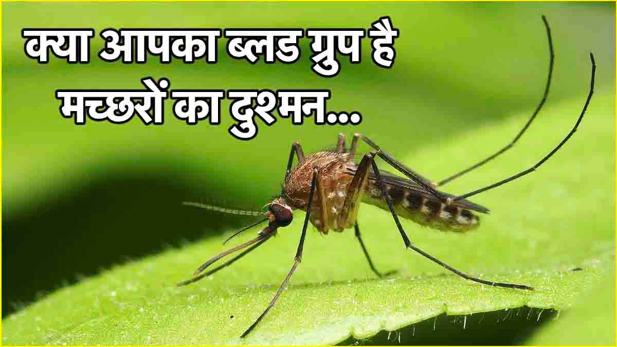 mosquito bites blood group