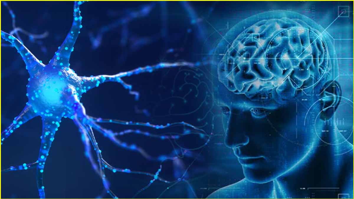 Neuroscience