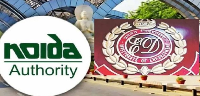 Noida authority and ED