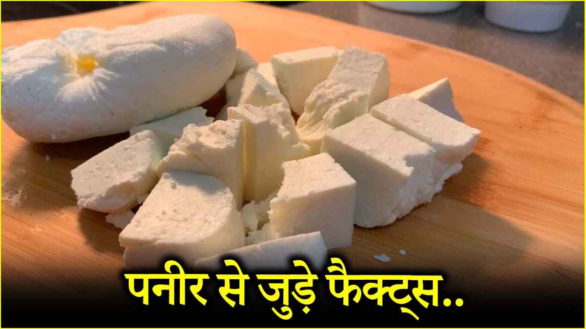 क्या चीज की तरह पिघल सकता है पनीर? जानें सच्चाई