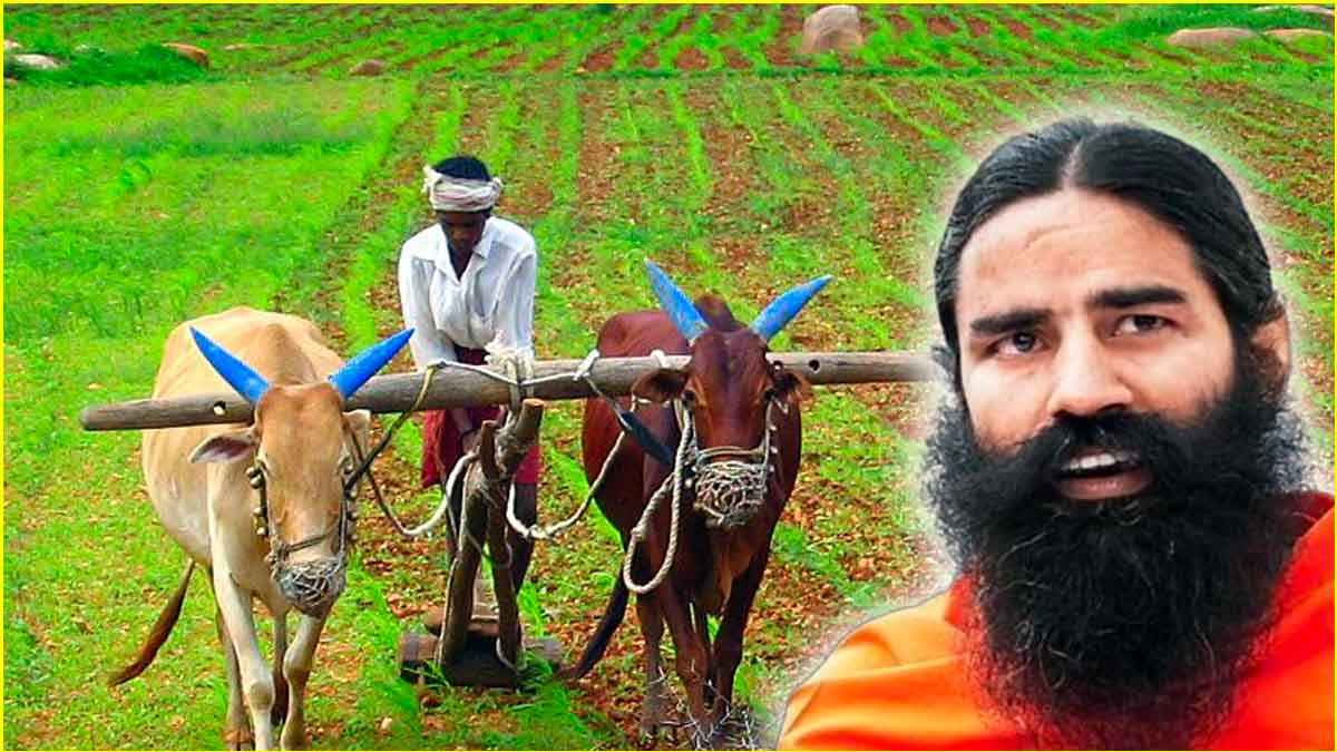 पतंजलि कैसे किसानों की मदद करता है? जानें फेयर-ट्रेड सुविधा के बारे में