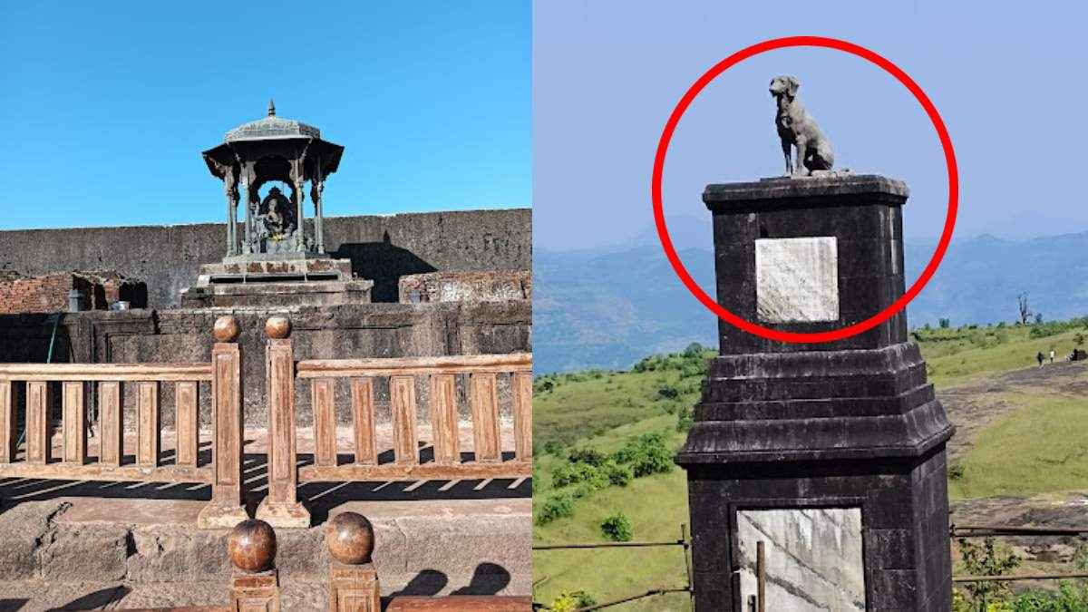 क्यों लगी है शिवाजी महाराज के किले में कुत्ते की मूर्ति? जिसको हटाने को लेकर चल रहा विवाद