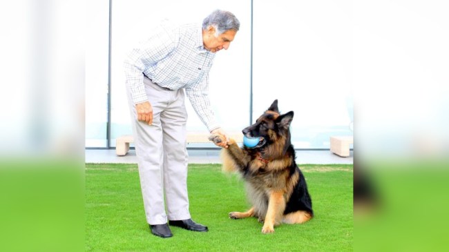 Ratan Tata estate distribution Ratan Tata estate distribution