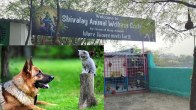Shivalay Animal Wellness Centre