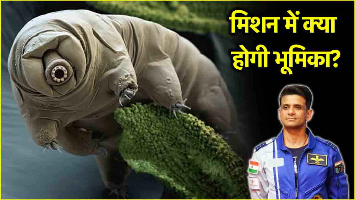 Water bears will go to space with India's Shubhanshu