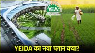 YEIDA