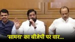 BJP Party