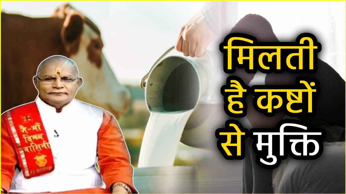 cow-milk-remedy-by-pandit-suresh-pandey