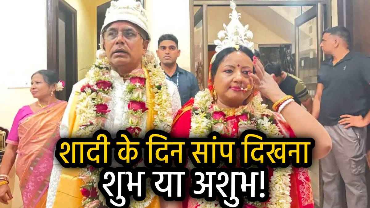 शादी के दिन घर में सांप निकलने से मिलता है क्या संकेत? जानें इससे जुड़ी धार्मिक और लोक मान्यताएं