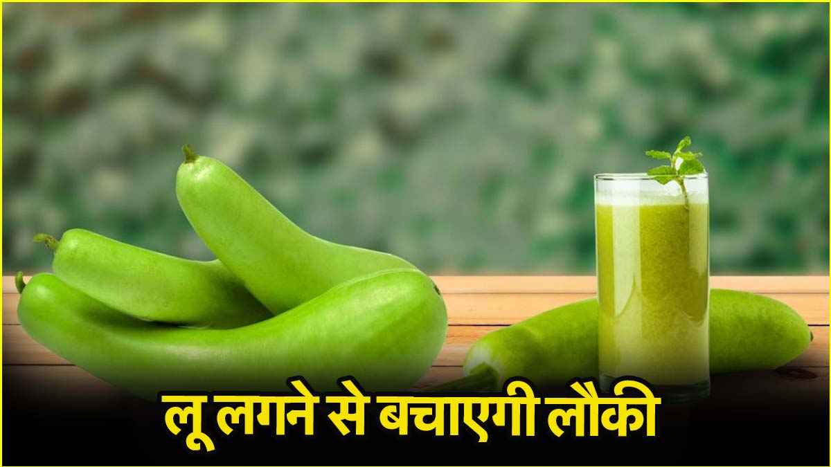 गर्मियों में रोजाना लौकी खाना कितना फायदेमंद? डिहाइड्रेशन समेत किन समस्याओं से बचाएगी