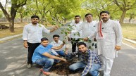 greater Noida plant sapling road