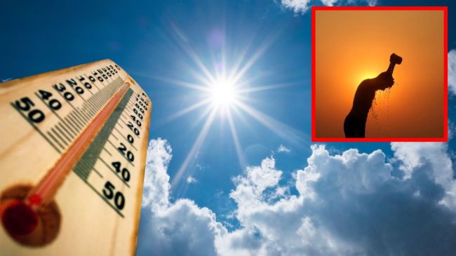 heat wave alert in gujarat