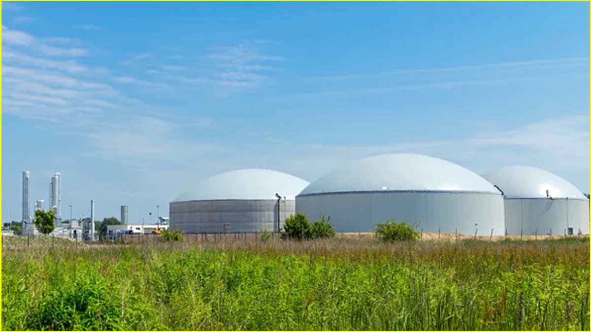 jalandhar cng plant