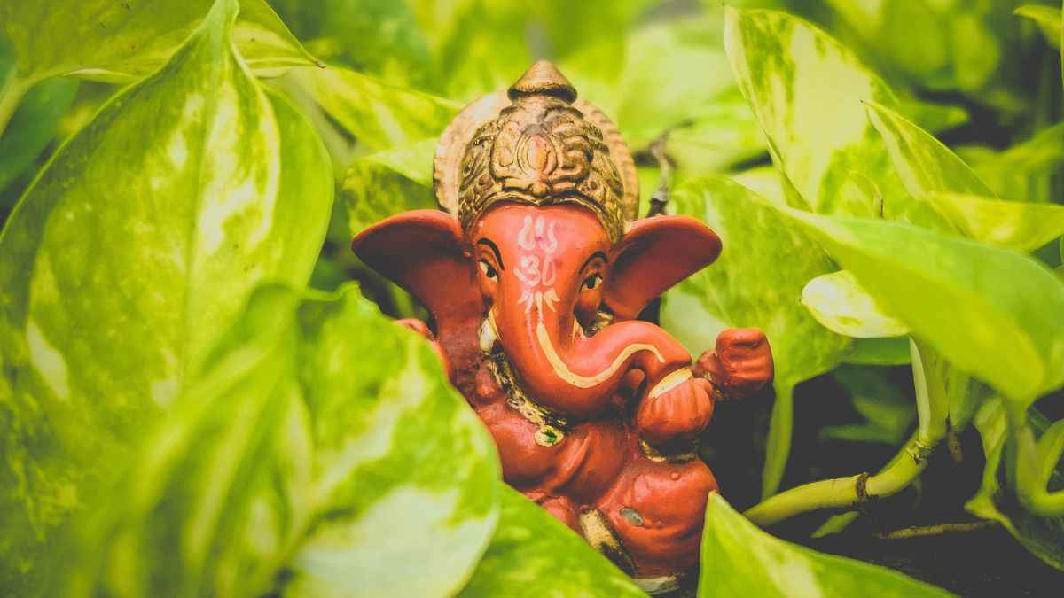 बुधवार के दिन करने चाहिए ये 5 काम, बन जाएंगे धनवान!
