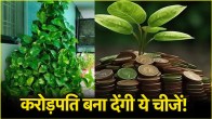 Vastu Tips