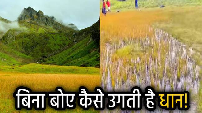 panch-kedar-dham-pandav-sera-uttarakhand-tourism