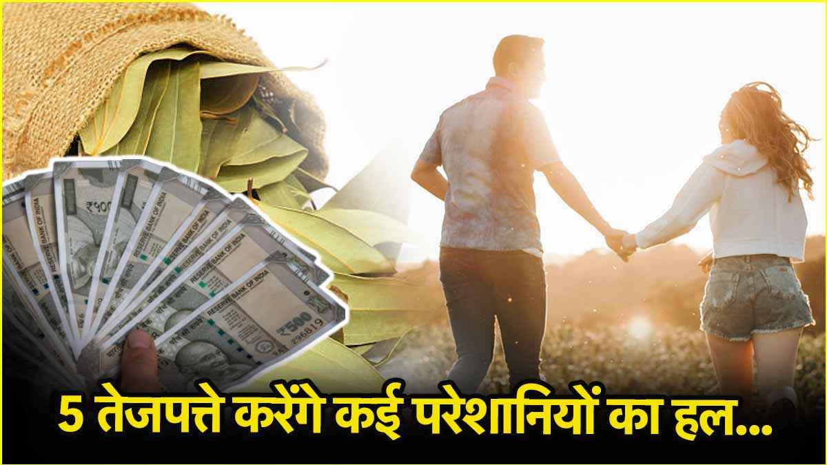 Bay Leaves Remedies: पैसों की कमी से लेकर लव लाइफ की समस्याएं होंगी खत्म! करें तेजपत्ते के ये 5 अचूक उपाय