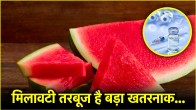 fake vs original water melon