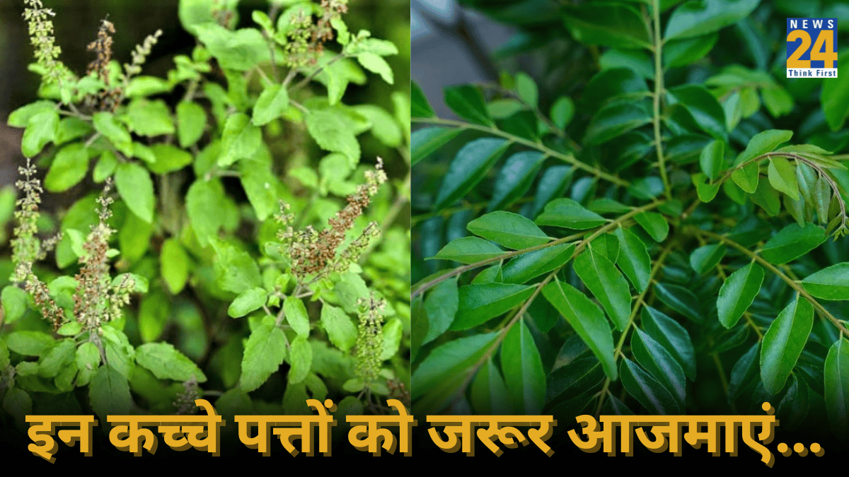 हरियाली में छुपा है हेल्थ सीक्रेट, जानिए कौन से पत्ते हैं किस चीज के लिए फायदेमंद