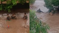 Ahilyanagar Flood
