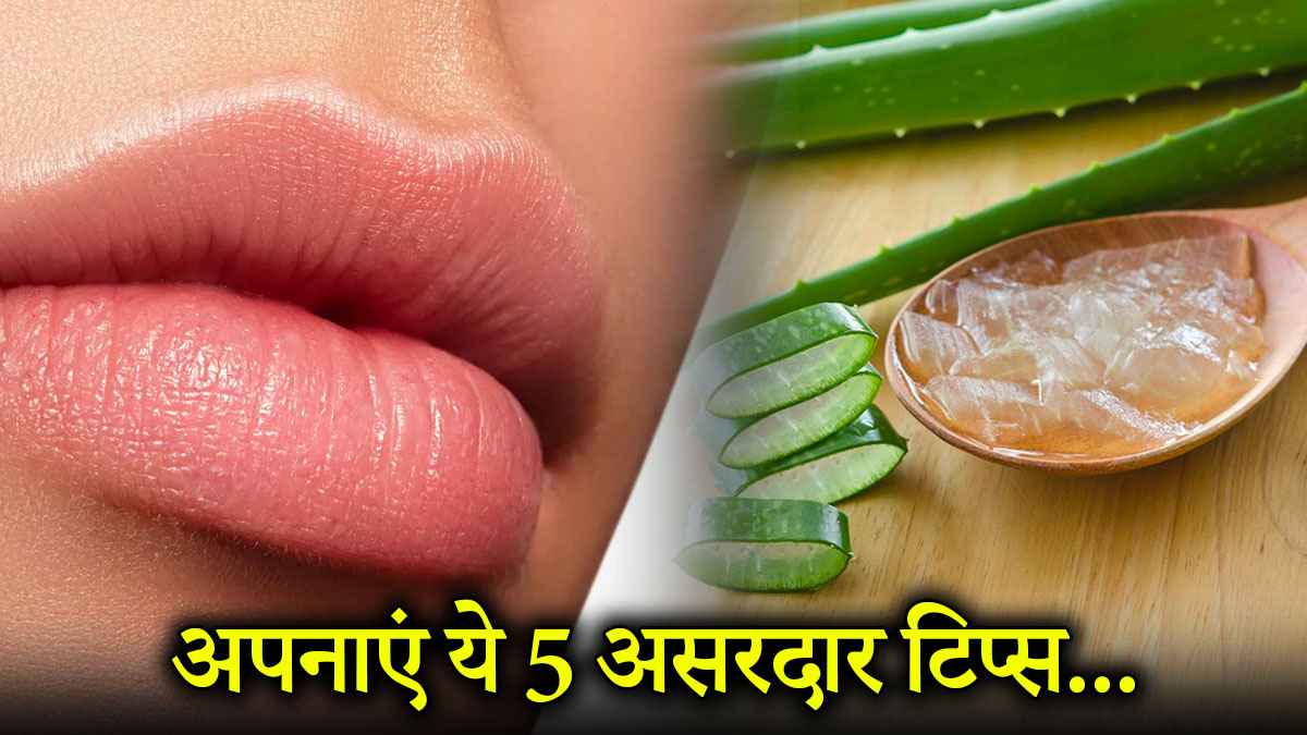 Lip Care Tips: क्या आप भी काले होंठों से परेशान हैं? अपनाएं ये 5 आसान टिप्स हमेशा रहेंगे गुलाबी और खूबसूरत