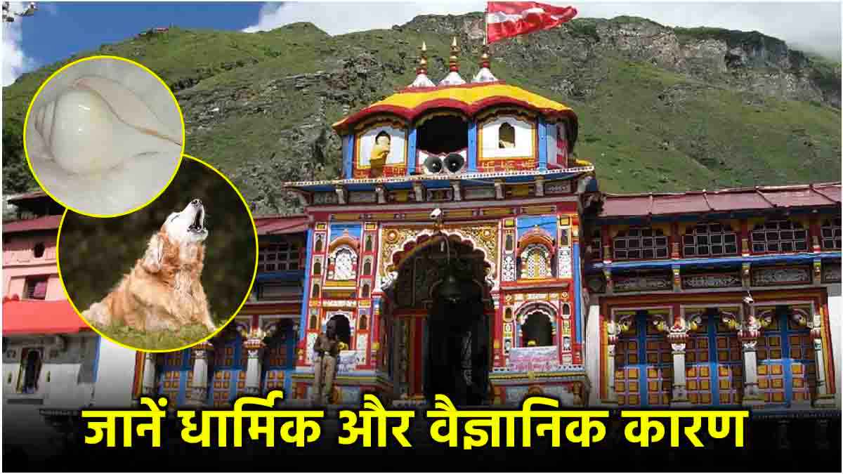 Badrinath Dham: बद्रीनाथ धाम में नहीं बजाते शंख और भौंकते नहीं कुत्ते, जानें क्यों?