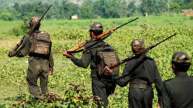 Bijapur Naxalites Encounter News