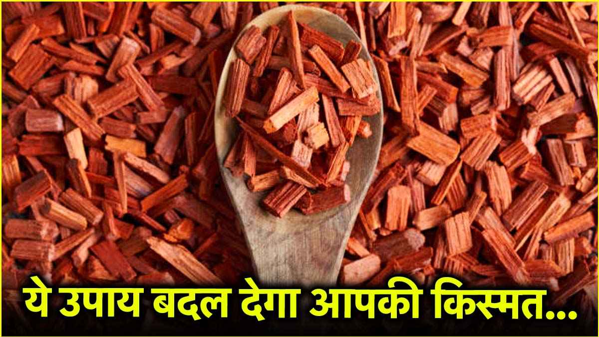 43 दिन तक करें चंदन की लकड़ी का ये उपाय, 'सूर्य' की कृपा से बन सकते हैं मालामाल