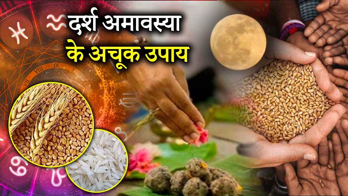 Darsh Amavasya 2025: 26 मई को करें इन चीजों का दान, 12 राशियों को मिलेगा पितृ-चंद्र दोष से छुटकारा