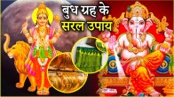 Budh Grah Upay 5 easy remedies to please Mercury all work will be done you will get progress