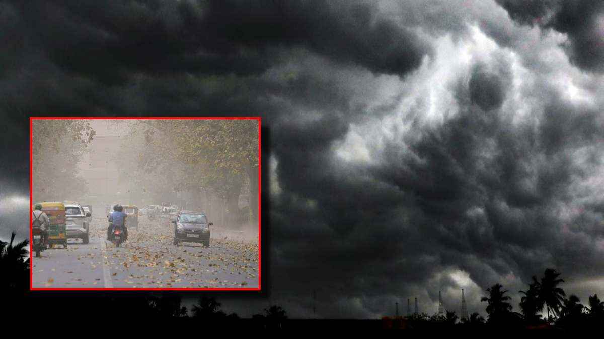 Gujarat Weather Today (21)