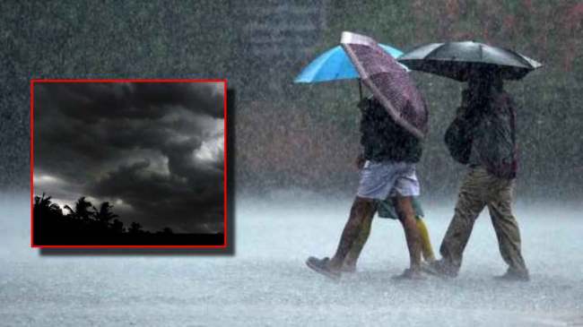 Gujarat Weather Today (23)