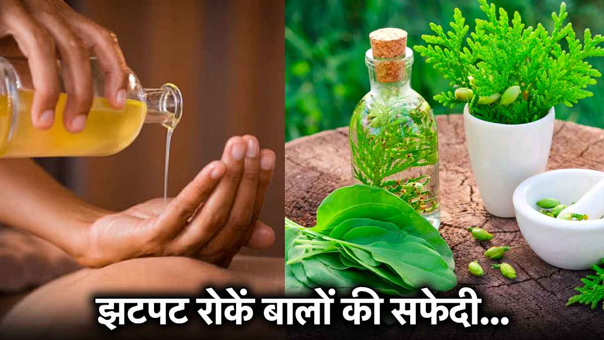 बिना केमिकल, बिना टेंशन, इस तरह रोकें समय से पहले सफेद होते बाल