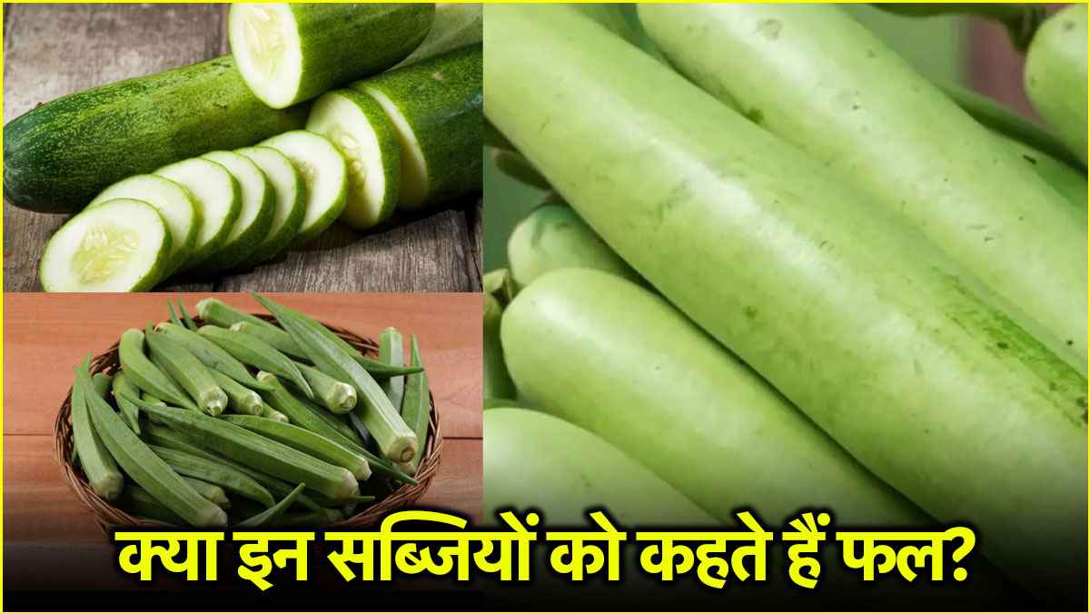 क्या बीज वाली सब्जियों को कहते हैं फल, जानें इसके पीछे का राज?