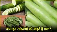 Food Tips