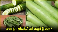 Food Tips
