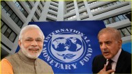 IMF