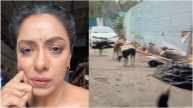rupali ganguly blast on fake news about dog bite on set of anupamaa