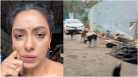 rupali ganguly blast on fake news about dog bite on set of anupamaa