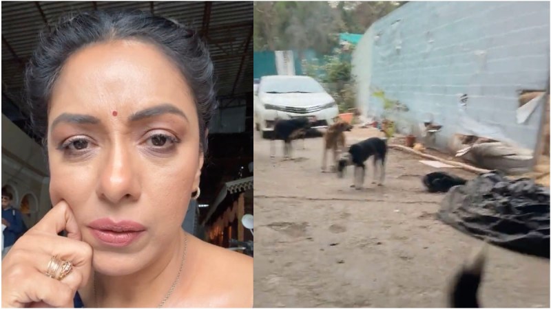 rupali ganguly blast on fake news about dog bite on set of anupamaa