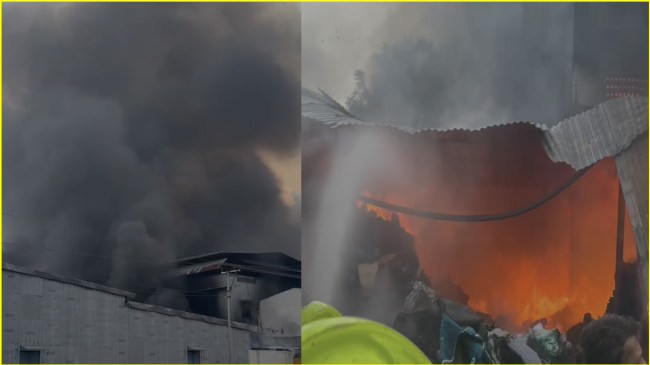 Solapur Factory | Maharashtra News | Fire Incident