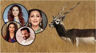 Blackbuck Poaching Case