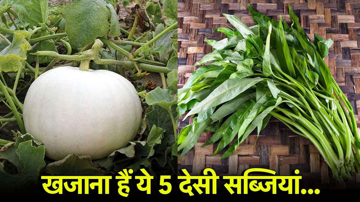 Healthy Vegetable: आयरन-फाइबर के भरपूर हैं ये 5 सब्जियां, फायदे सुनते ही खरीद लाओगे