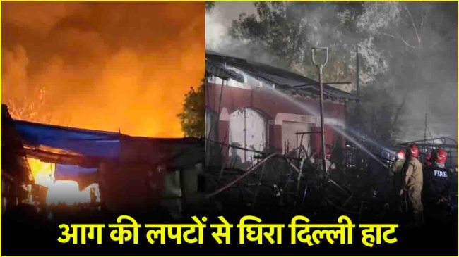 Delhi Haat Fire Video