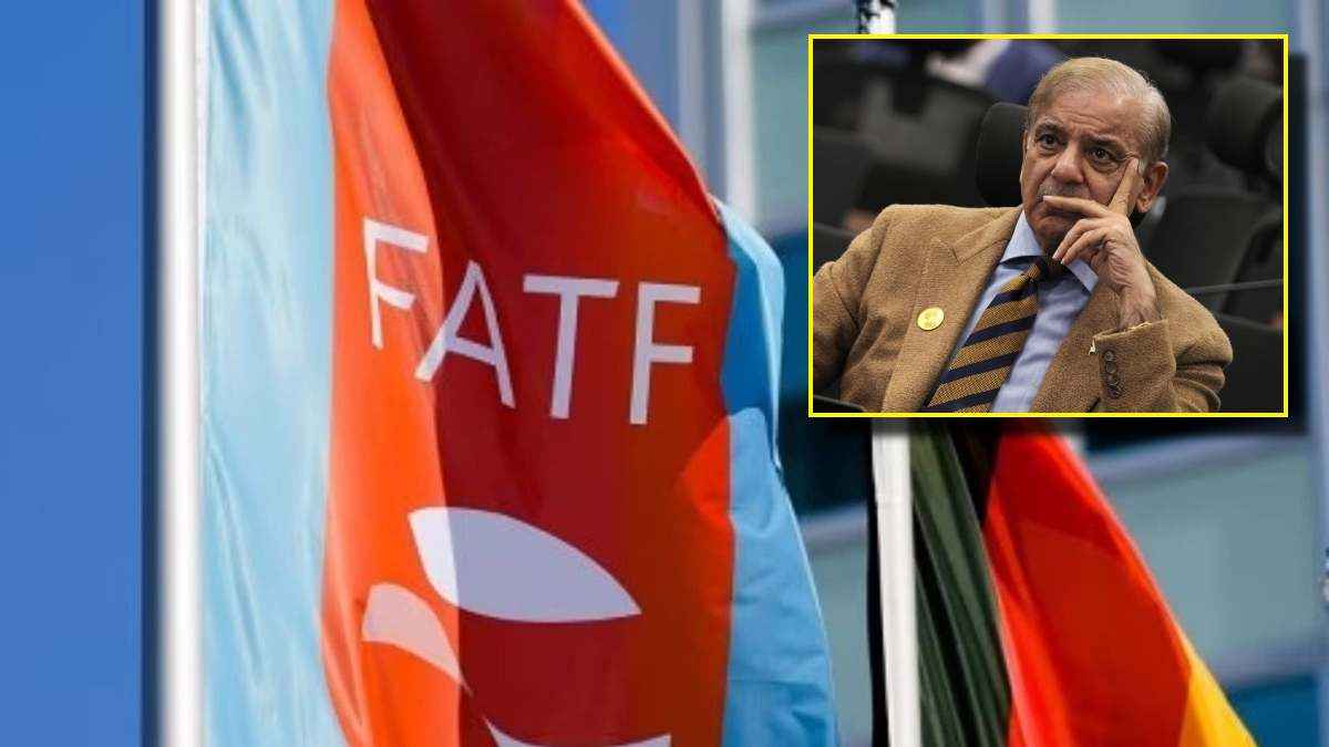 क्या है FATF? जिसकी ग्रे लिस्ट में पाकिस्तान को फिर से शामिल कराना चाहता है भारत